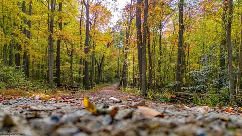 Lot 21 Snake Hill Road, Morgantown, WV 26508 — photo 25