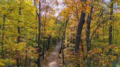 Lot 21 Snake Hill Road, Morgantown, WV 26508 — photo 27