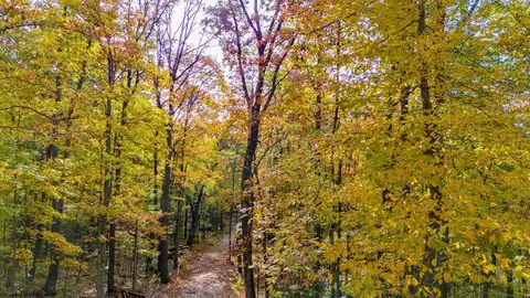 Lot 21 Snake Hill Road, Morgantown, WV 26508 — photo 28