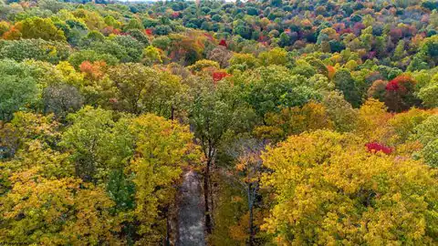Lot 21 Snake Hill Road, Morgantown, WV 26508 — photo 30