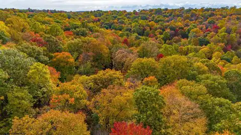 Lot 21 Snake Hill Road, Morgantown, WV 26508 — photo 31