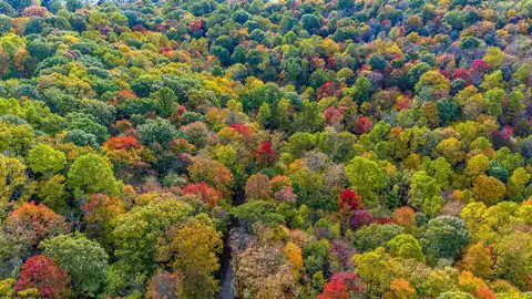 Lot 21 Snake Hill Road, Morgantown, WV 26508 — photo 33