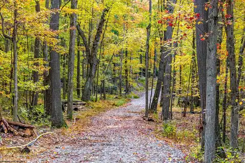 Lot 21 Snake Hill Road, Morgantown, WV 26508 — photo 4