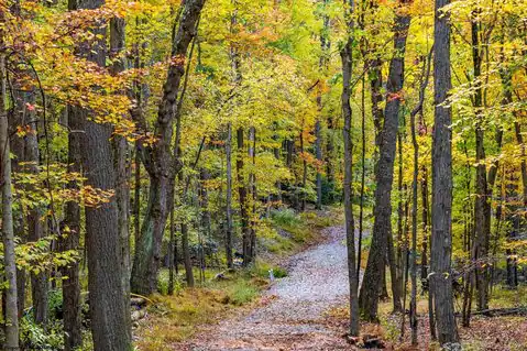 Lot 21 Snake Hill Road, Morgantown, WV 26508 — photo 42