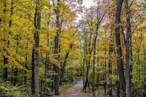 Lot 21 Snake Hill Road, Morgantown, WV 26508 — photo 43