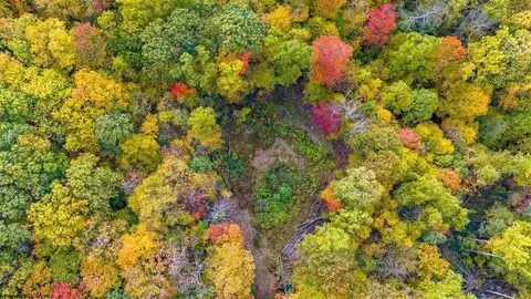 Lot 21 Snake Hill Road, Morgantown, WV 26508 — photo 8