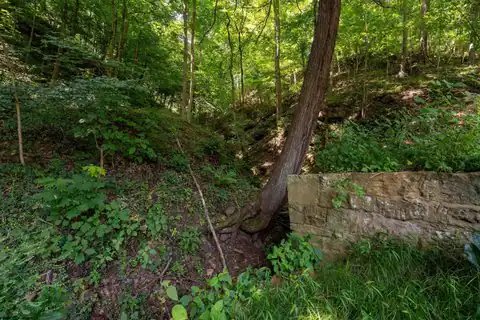 109 Dug Hill Road, Morgantown, WV 26508 — photo 15