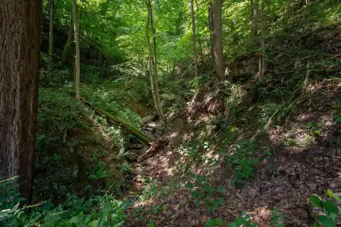 109 Dug Hill Road, Morgantown, WV 26508 — photo 16