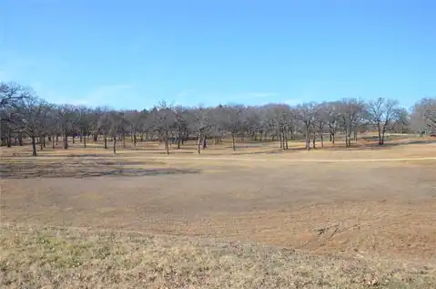 970 Pronghorn Drive, Gordonville, TX 76245 — photo 9