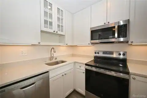 211 E Merrill Street #505, Birmingham, MI 48009 — photo 11