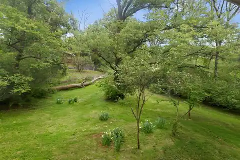 827 Redwood Dr, Nashville, TN, 37220 — photo 18