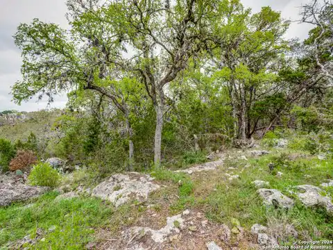 192 MACAW LN, Spring Branch, TX 78070 — photo 10