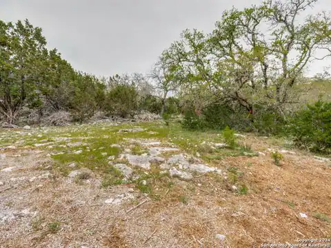 192 MACAW LN, Spring Branch, TX 78070 — photo 11