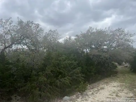 192 MACAW LN, Spring Branch, TX 78070 — photo 13