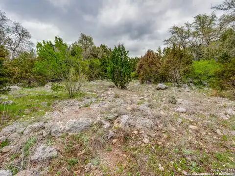 192 MACAW LN, Spring Branch, TX 78070 — photo 14