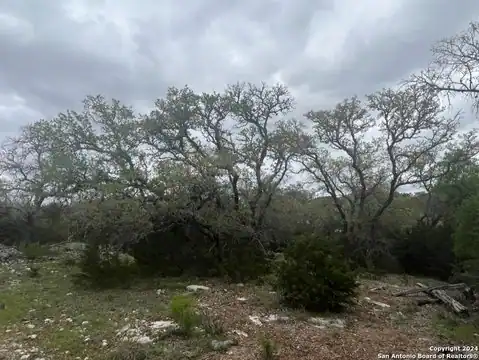 192 MACAW LN, Spring Branch, TX 78070 — photo 16
