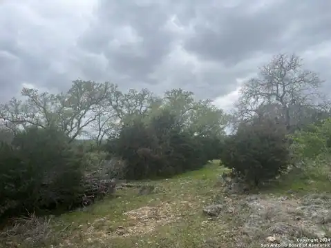 192 MACAW LN, Spring Branch, TX 78070 — photo 21