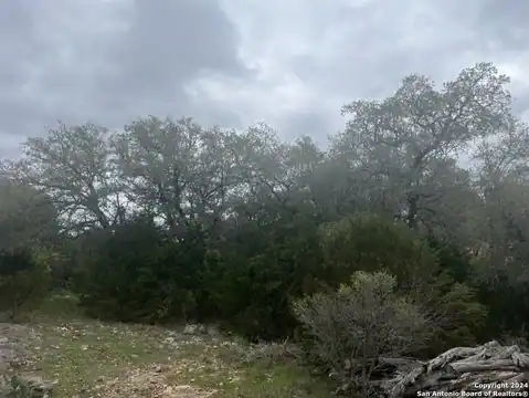 192 MACAW LN, Spring Branch, TX 78070 — photo 22