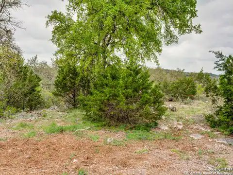 192 MACAW LN, Spring Branch, TX 78070 — photo 8