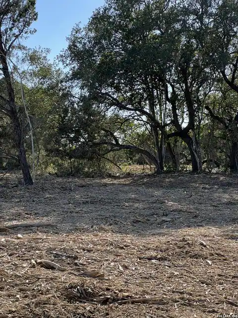 0000 Weimer Way, San Antonio, TX 78233 — photo 6