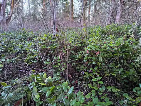 0 Sherman, Port Townsend, WA, 98368 — photo 10