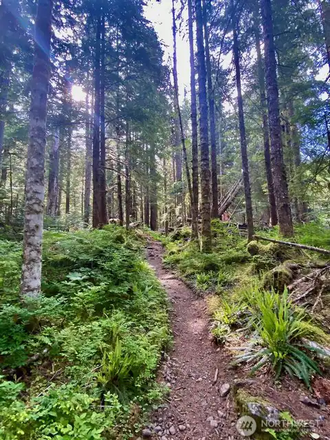 0 XX Mountain Loop Highway, Granite Falls, WA, 98252 — photo 3
