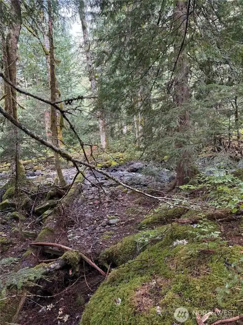 0 XX Mountain Loop Highway, Granite Falls, WA, 98252 — photo 4