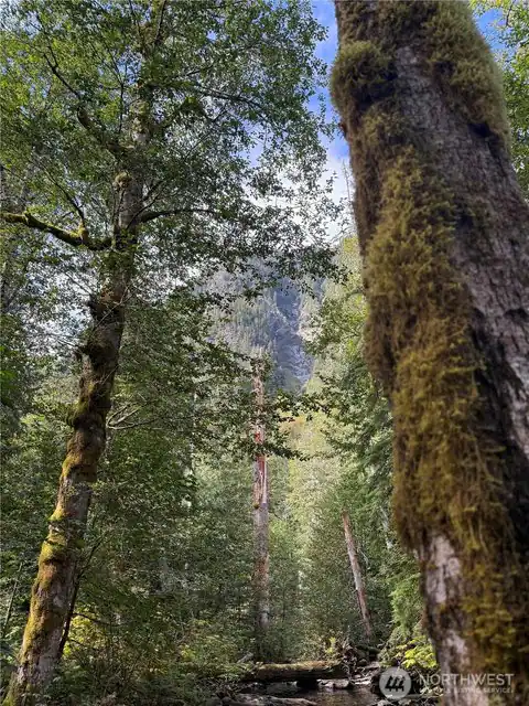 0 XX Mountain Loop Highway, Granite Falls, WA, 98252 — photo 7