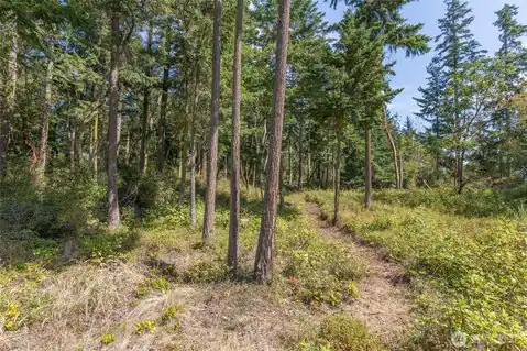 9999 Discovery Road, Port Townsend, WA, 98368 — photo 10