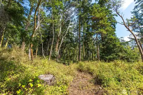 9999 Discovery Road, Port Townsend, WA, 98368 — photo 11