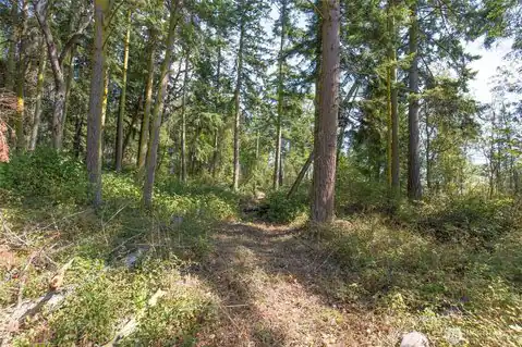 9999 Discovery Road, Port Townsend, WA, 98368 — photo 12