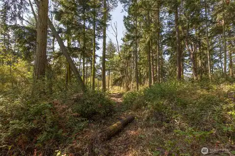 9999 Discovery Road, Port Townsend, WA, 98368 — photo 19