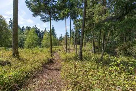 9999 Discovery Road, Port Townsend, WA, 98368 — photo 20