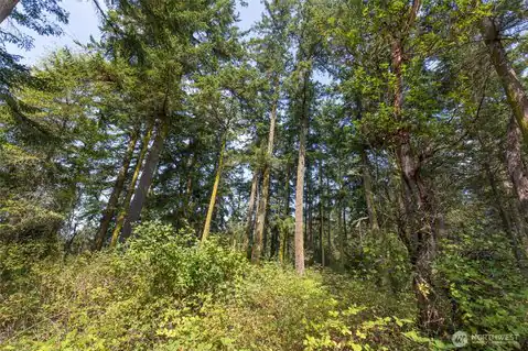 9999 Discovery Road, Port Townsend, WA, 98368 — photo 24