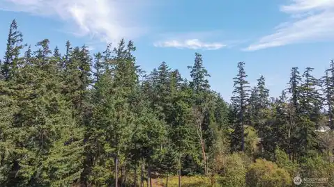 9999 Discovery Road, Port Townsend, WA, 98368 — photo 29