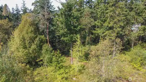 9999 Discovery Road, Port Townsend, WA, 98368 — photo 40