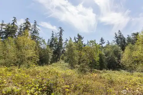 9999 Discovery Road, Port Townsend, WA, 98368 — photo 6