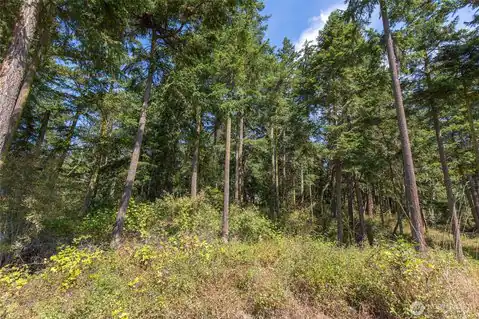 9999 Discovery Road, Port Townsend, WA, 98368 — photo 7