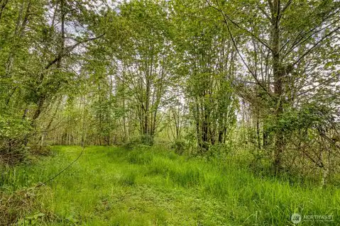 0 Elkhorn Lane, Quilcene, WA, 98376 — photo 10