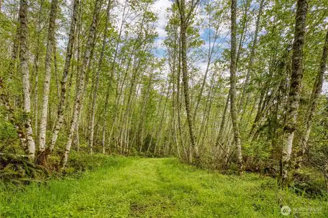 0 Elkhorn Lane, Quilcene, WA, 98376 — photo 12