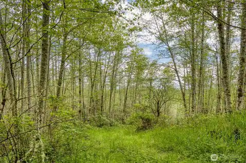 0 Elkhorn Lane, Quilcene, WA, 98376 — photo 14