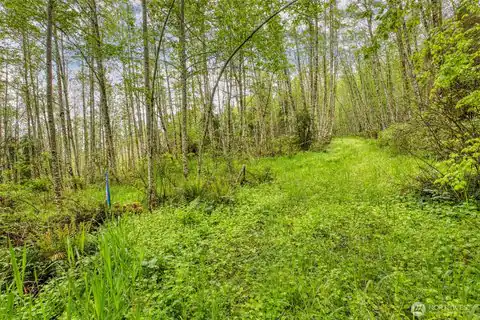 0 Elkhorn Lane, Quilcene, WA, 98376 — photo 15