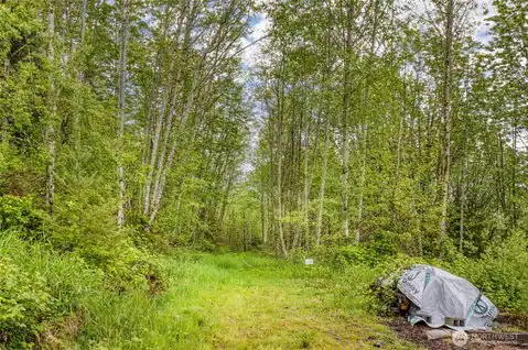 0 Elkhorn Lane, Quilcene, WA, 98376 — photo 7
