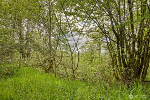 0 Elkhorn Lane, Quilcene, WA, 98376 — photo 9