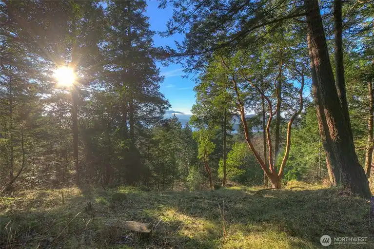 558 Buck Mt. Road, Orcas Island, WA, 98245