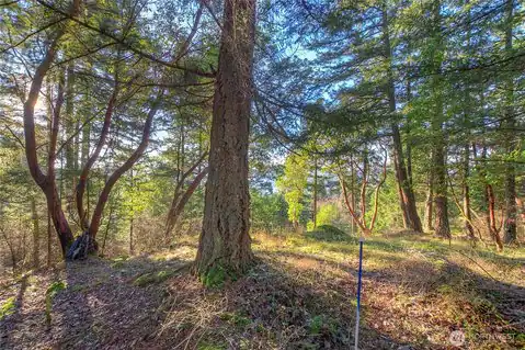 558 Buck Mt. Road, Orcas Island, WA, 98245 — photo 10