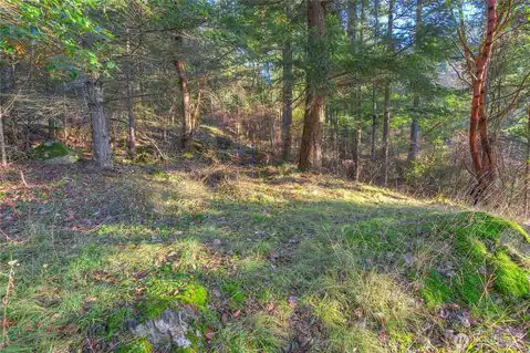 558 Buck Mt. Road, Orcas Island, WA, 98245 — photo 11