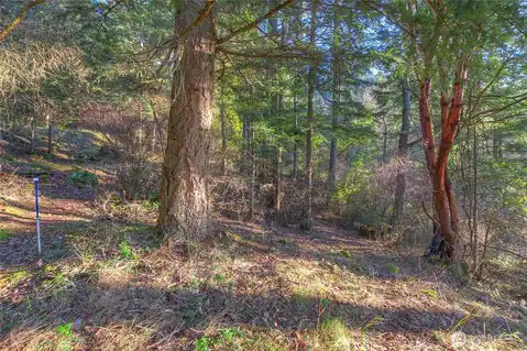 558 Buck Mt. Road, Orcas Island, WA, 98245 — photo 12