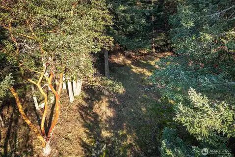 558 Buck Mt. Road, Orcas Island, WA, 98245 — photo 13