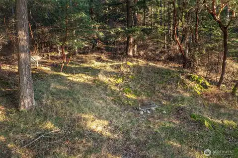 558 Buck Mt. Road, Orcas Island, WA, 98245 — photo 14